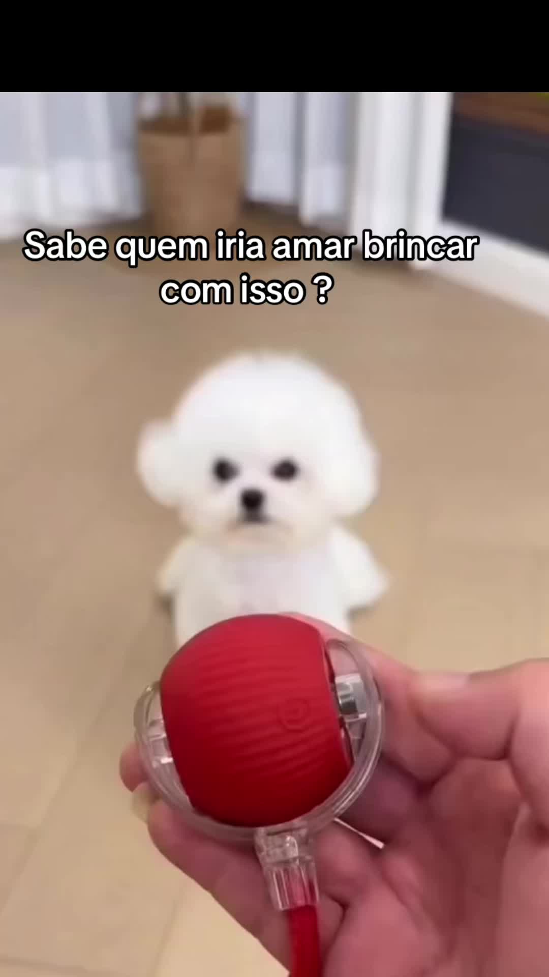 @Ajude a Lola