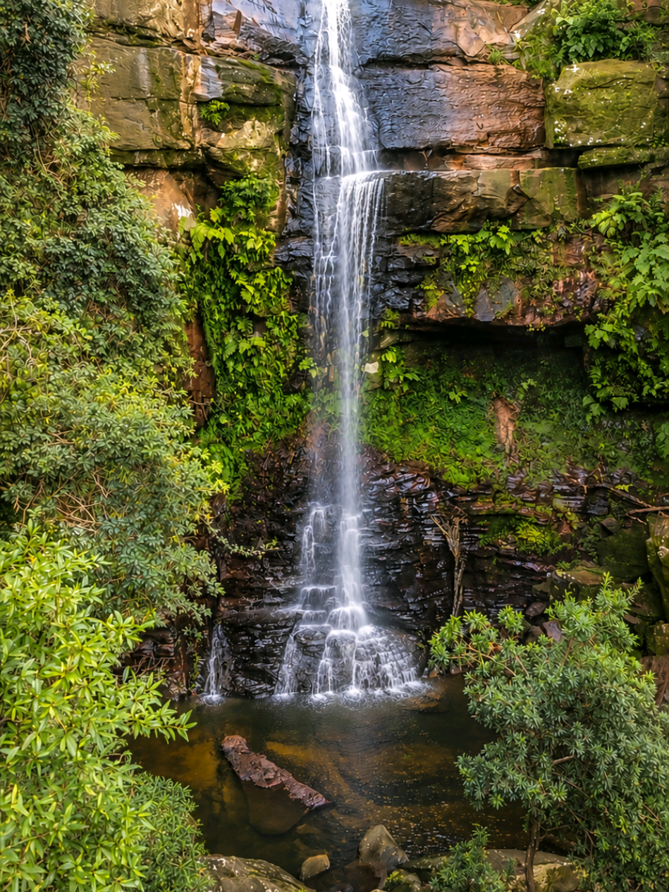 @Nature Love Australia 🌴