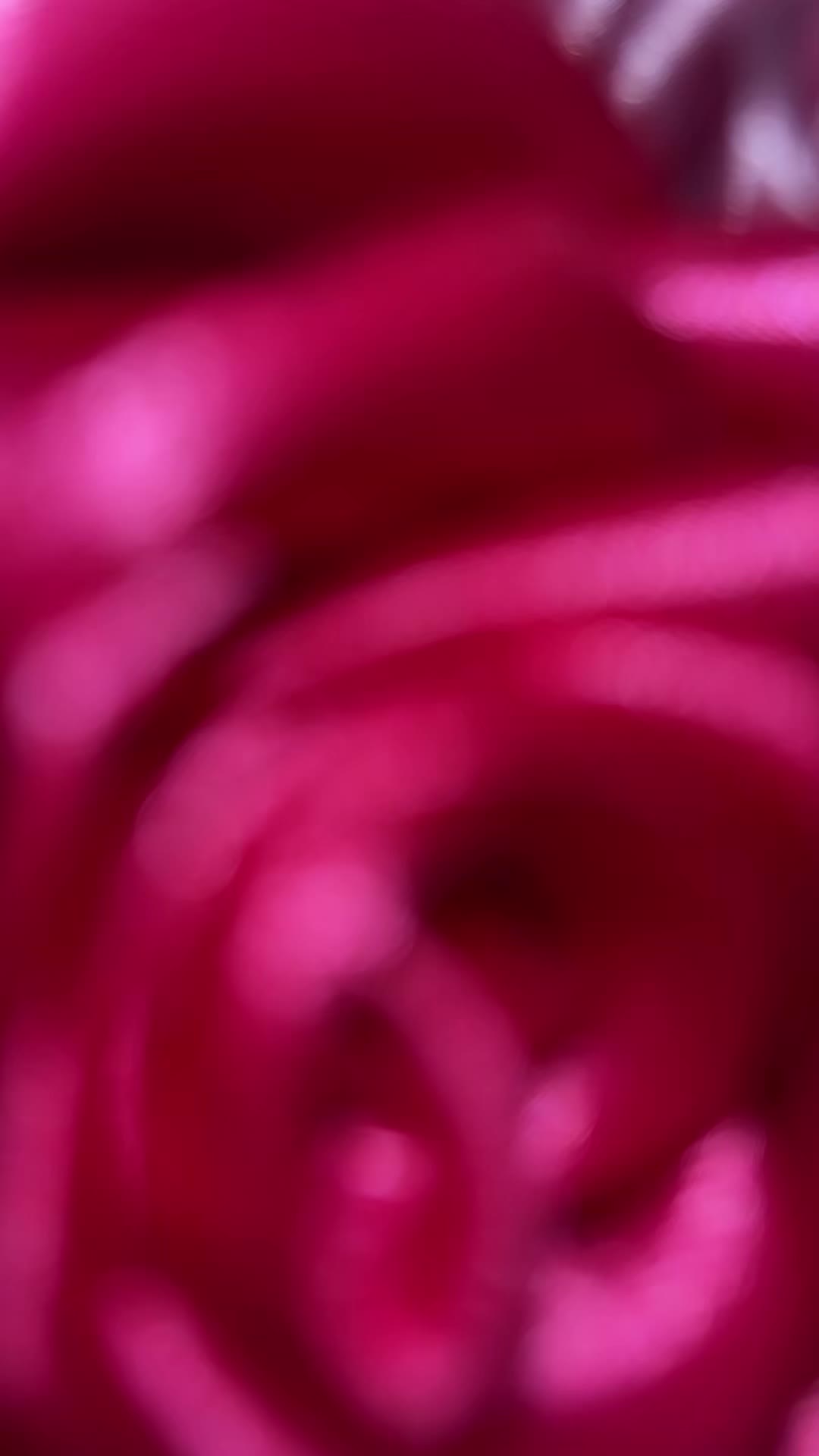 @Miachøu🦋