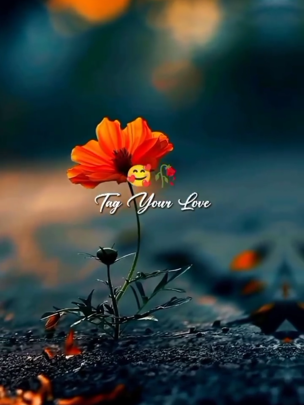 @🦋⃟Akash♡_Hun_Yr🖇️🤍