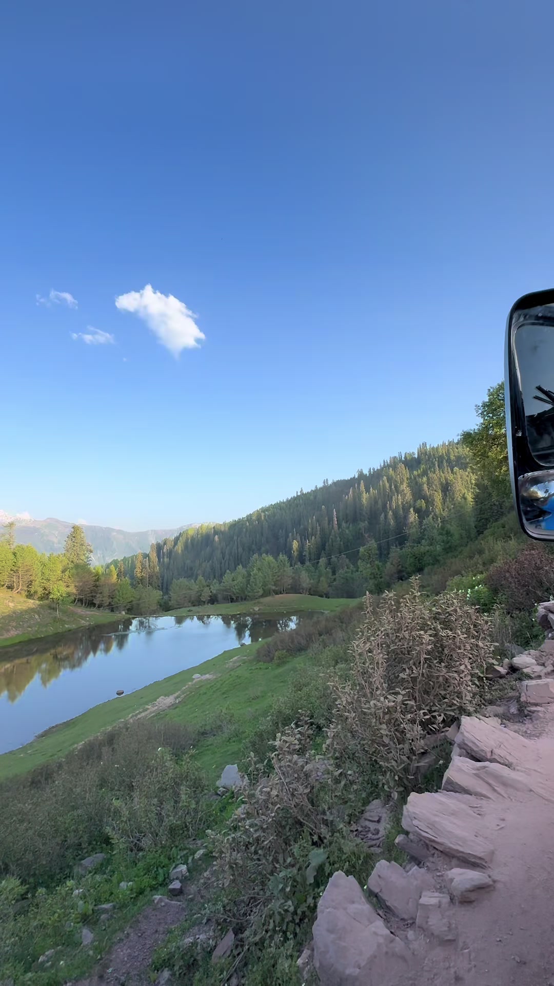 @Shogran Vibes