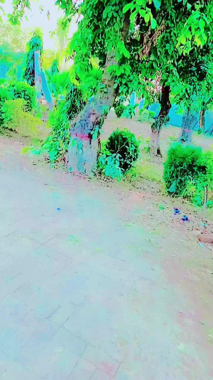 @🥰امتیاز 🥰 سرگودھے الا  💪