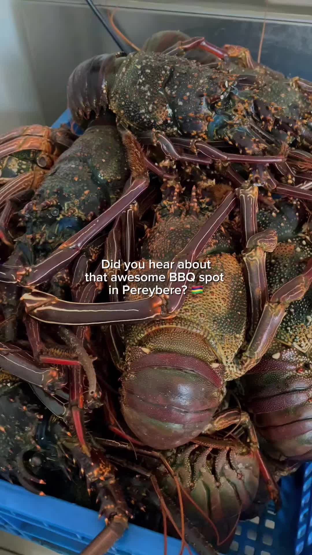 @Kalatua Mauritius