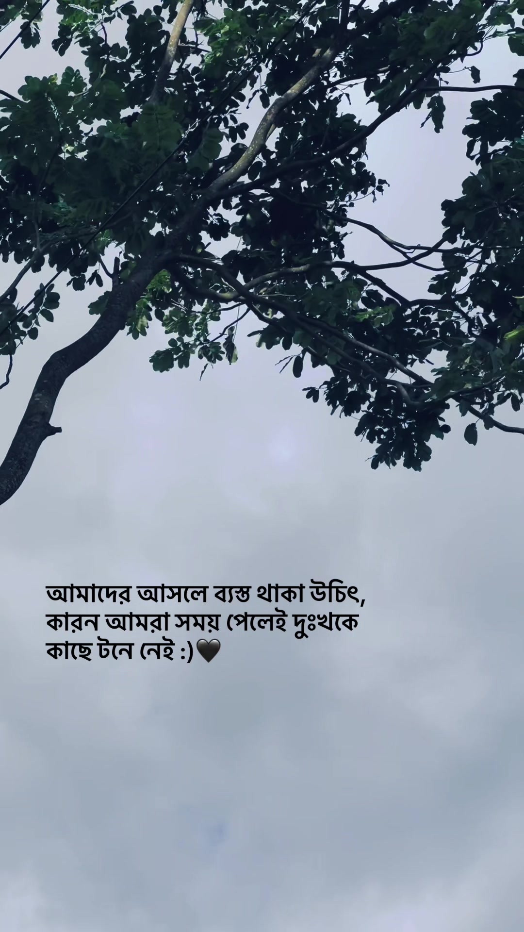 @_নিখোঁজ_