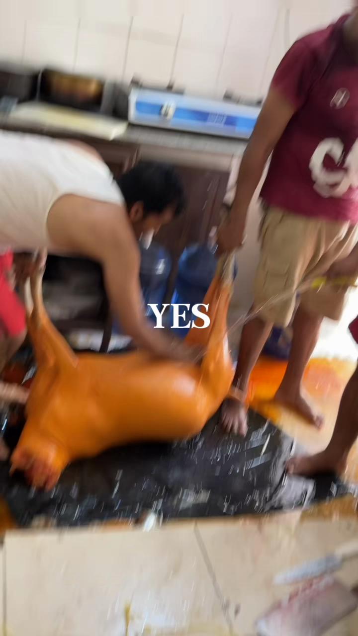 @john 11252