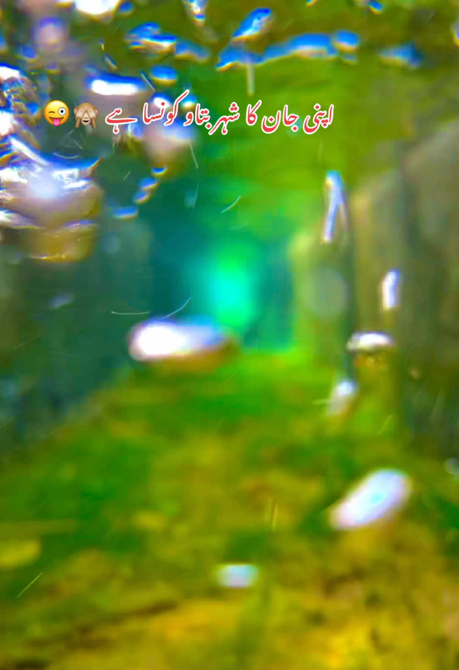 @🌱اویس میئو😎
