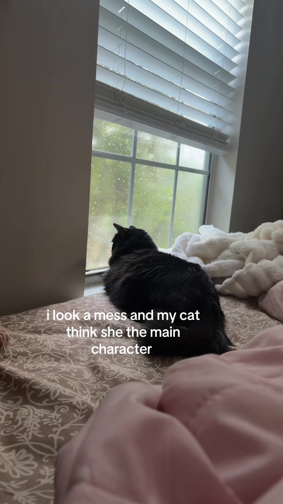 @jenna flaps
