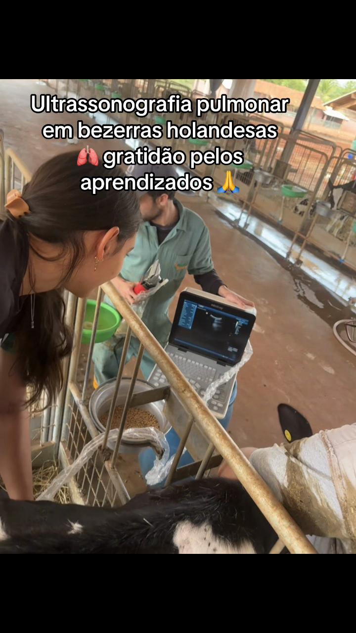 @Laura Rodrigues