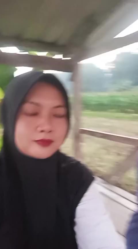 @windawindi