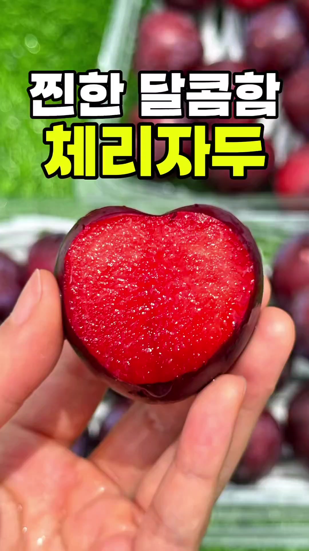 @싱싱햇 - 365일 싱싱한 햇 제철 먹거리