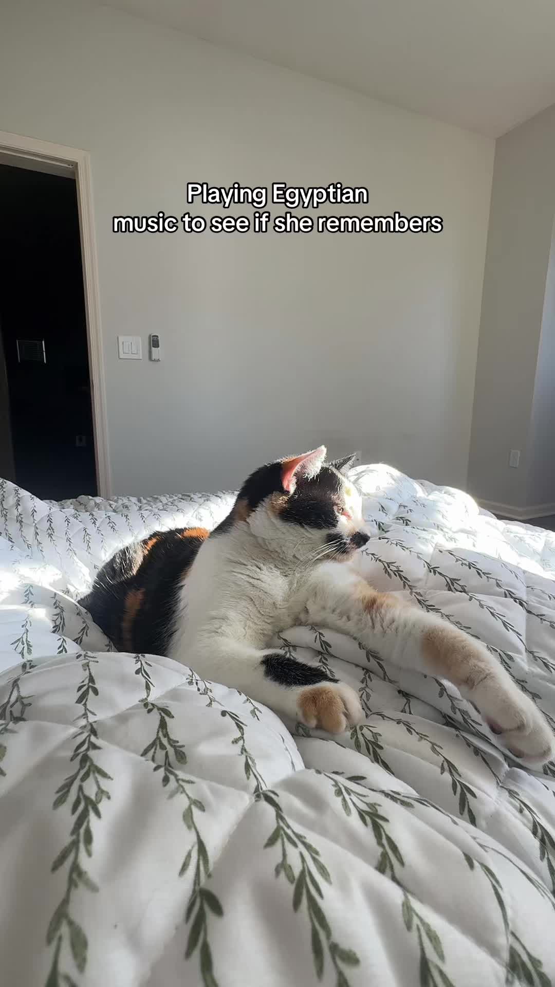 @makdaddy
