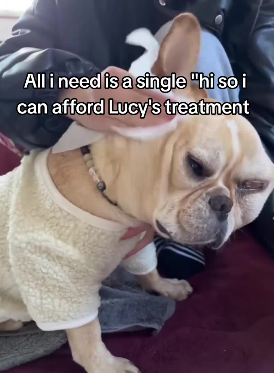 @CancerFighterPup