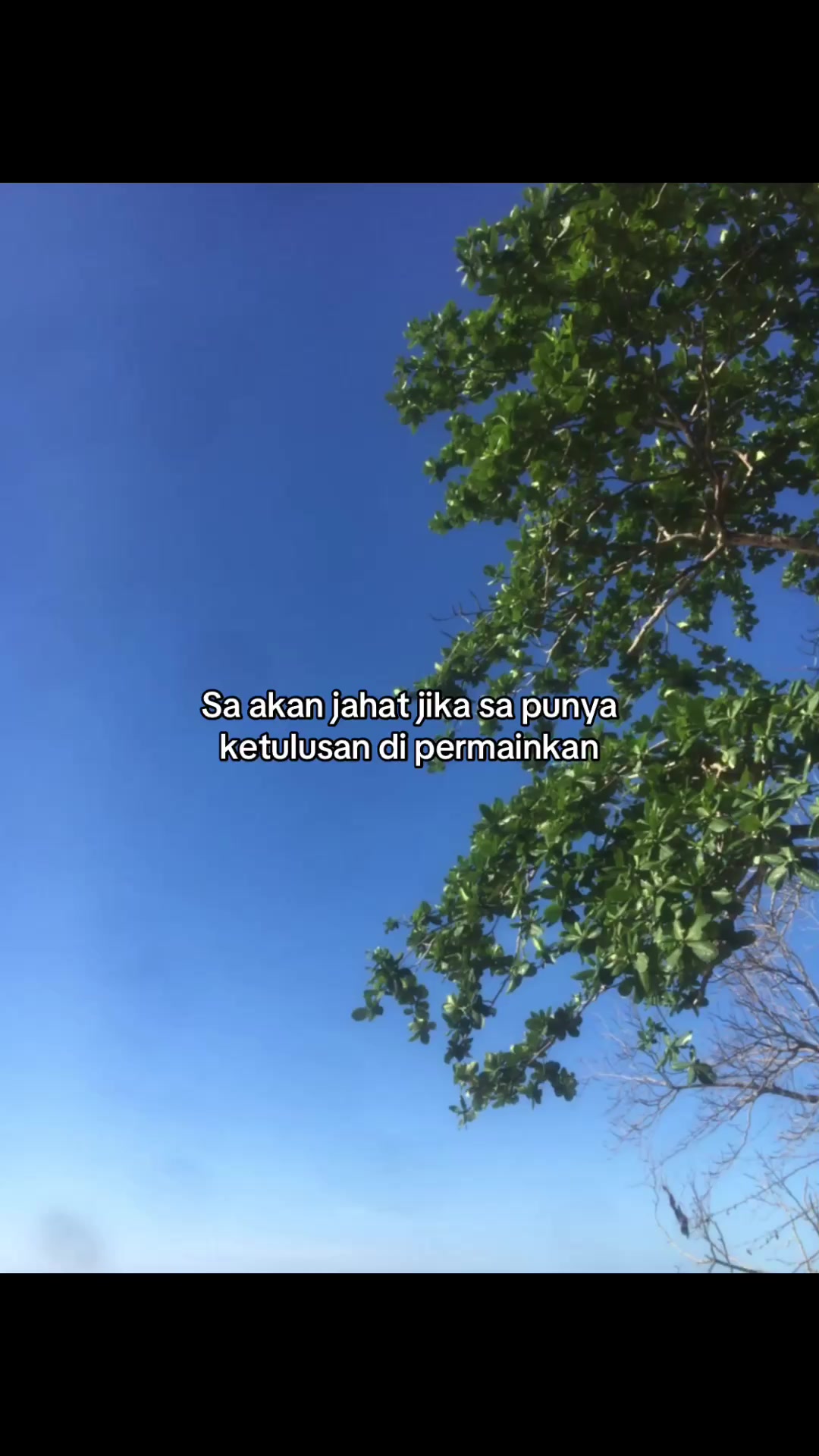 @🌻