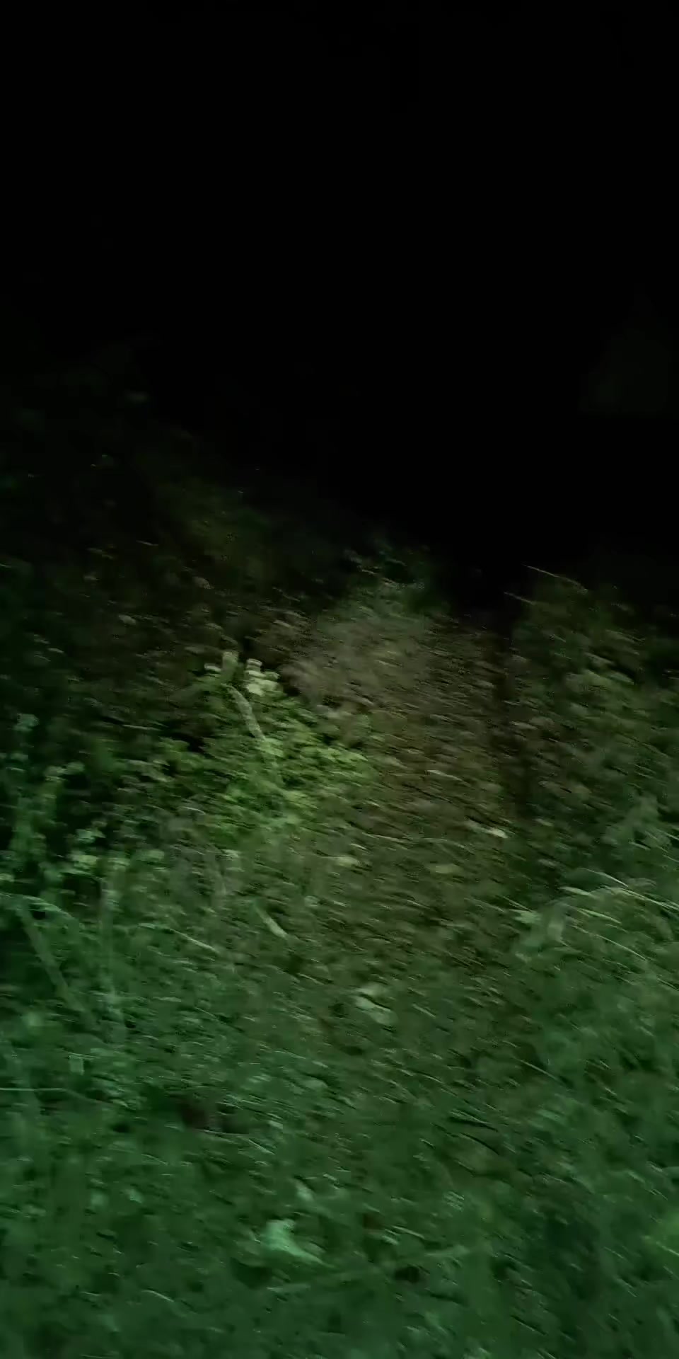 @๐๐๐ง๐๐ซ๐ ๐๐ข๐ฃ๐๐ฒ๐