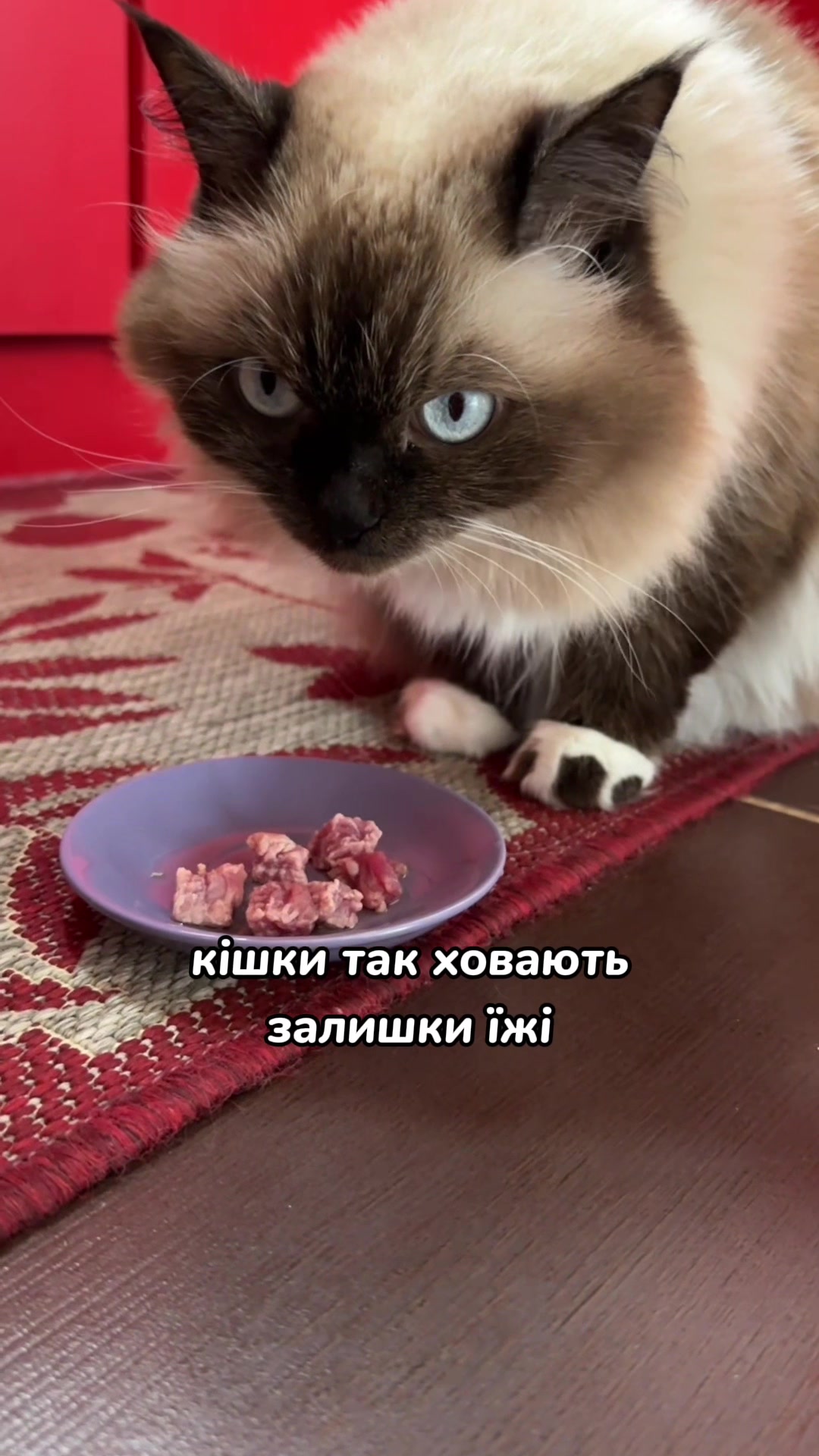 @Місс КІСЯ