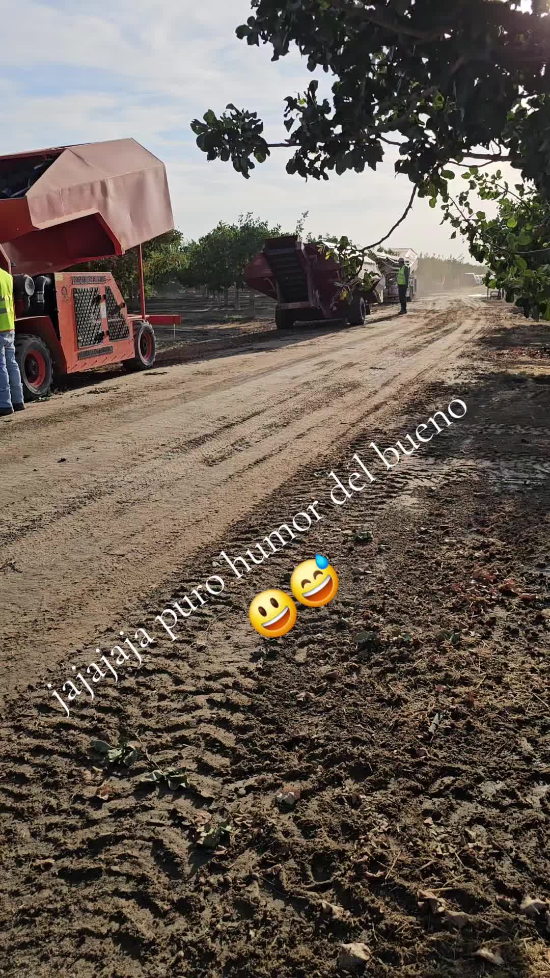 @fulgencio🤠