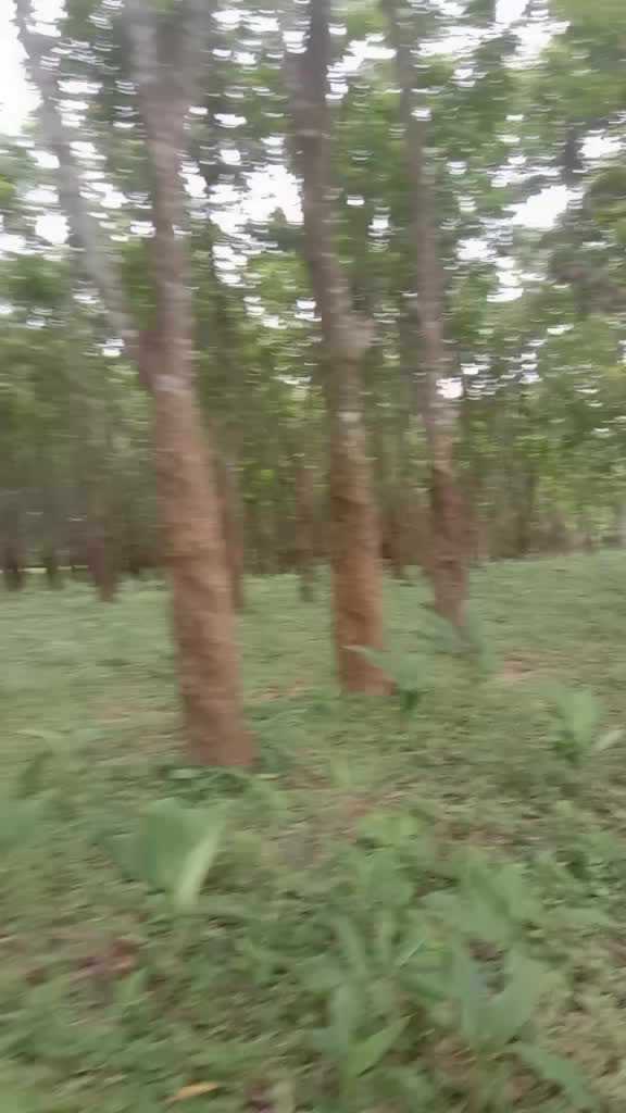 @vibhu.neha 🇧🇩🇧🇩🇧🇩🇧🇩
