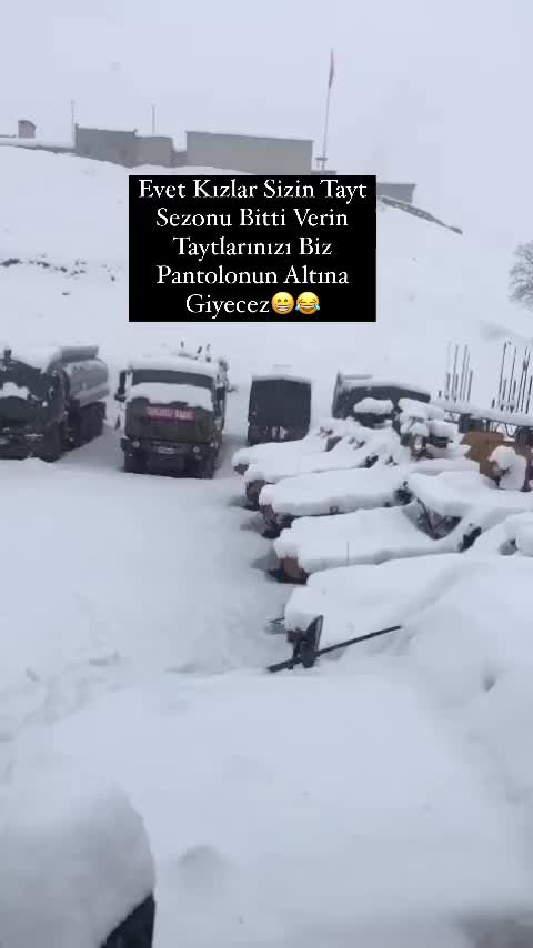 @🦅🇹🇷🐺 BOZKURT ASENA🐺🇹🇷🦅
