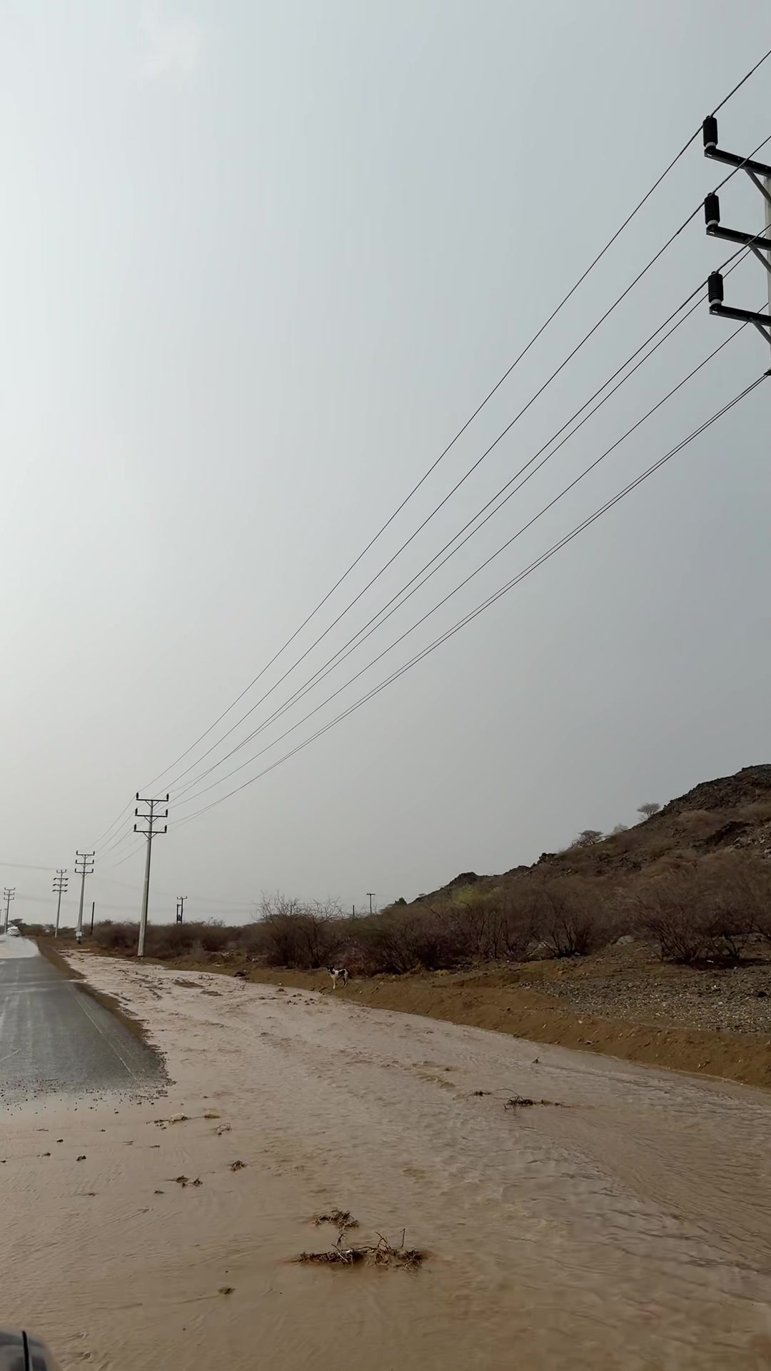 @حنان