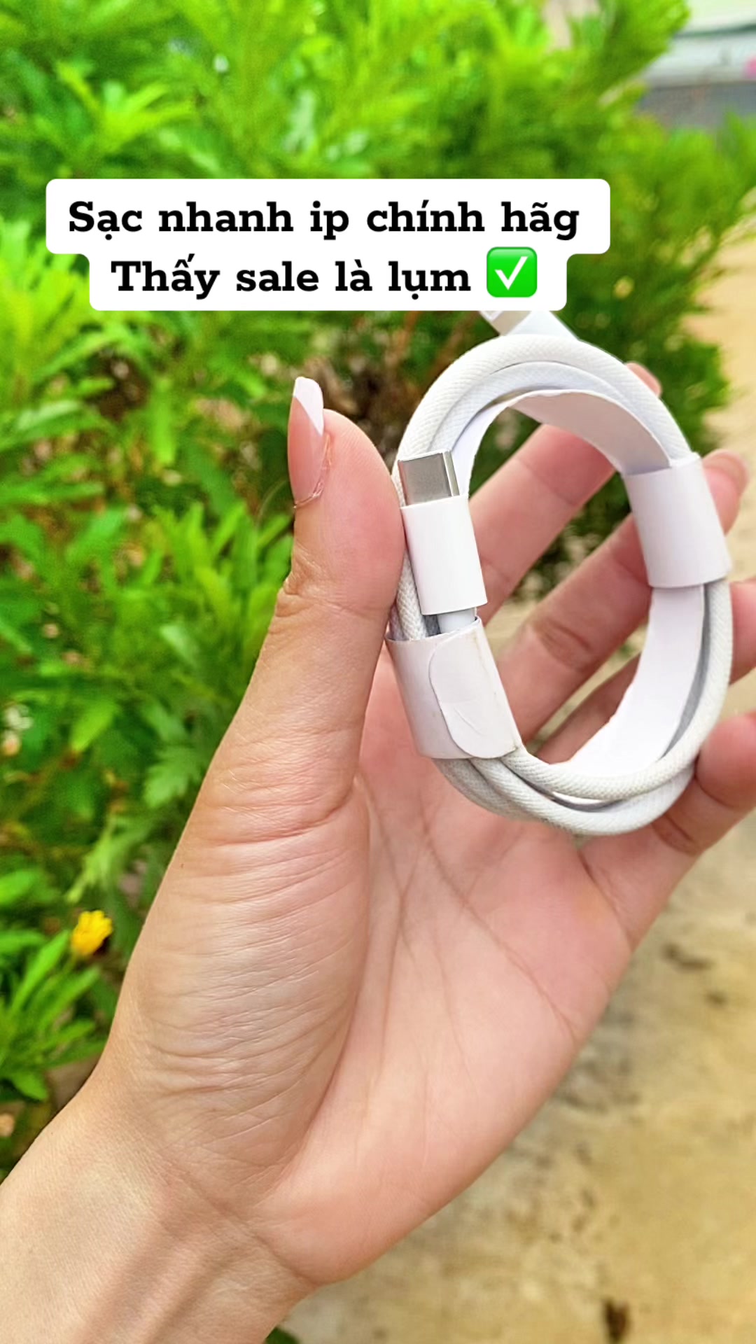 @Mẹ thỏ