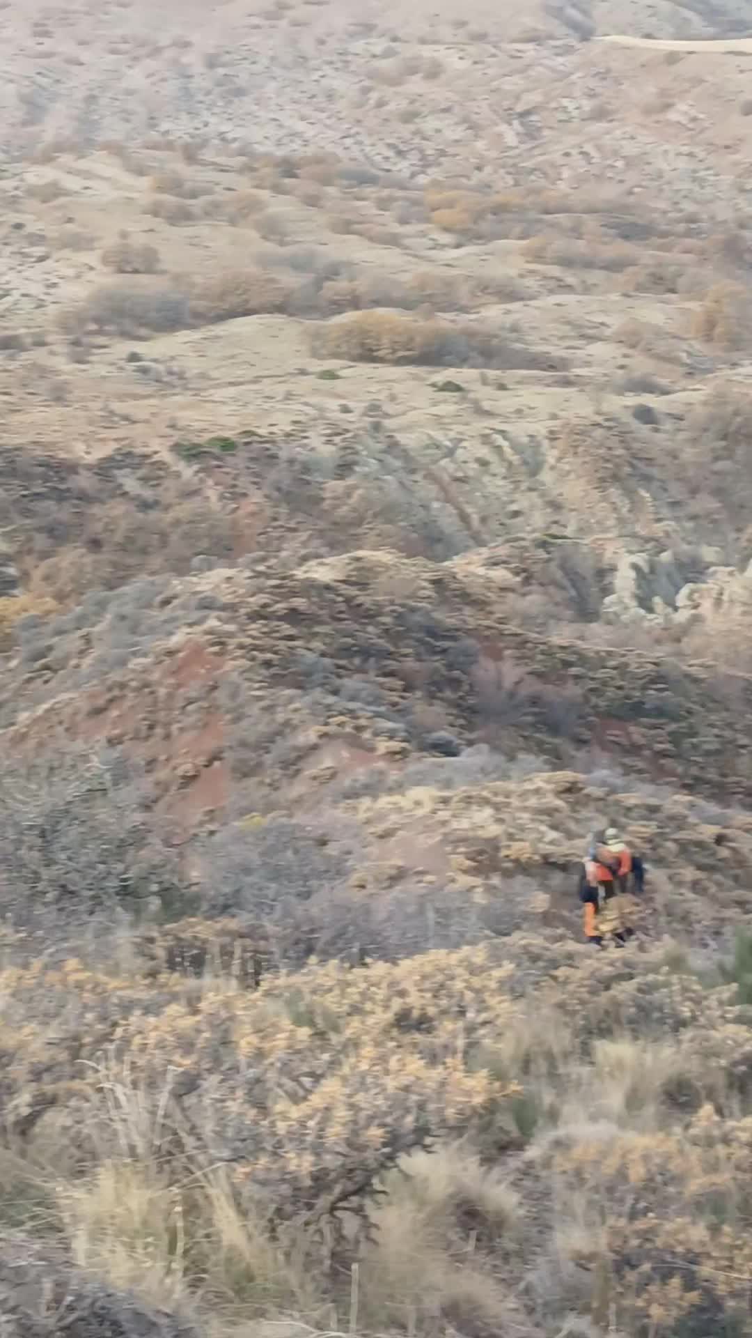 @avci