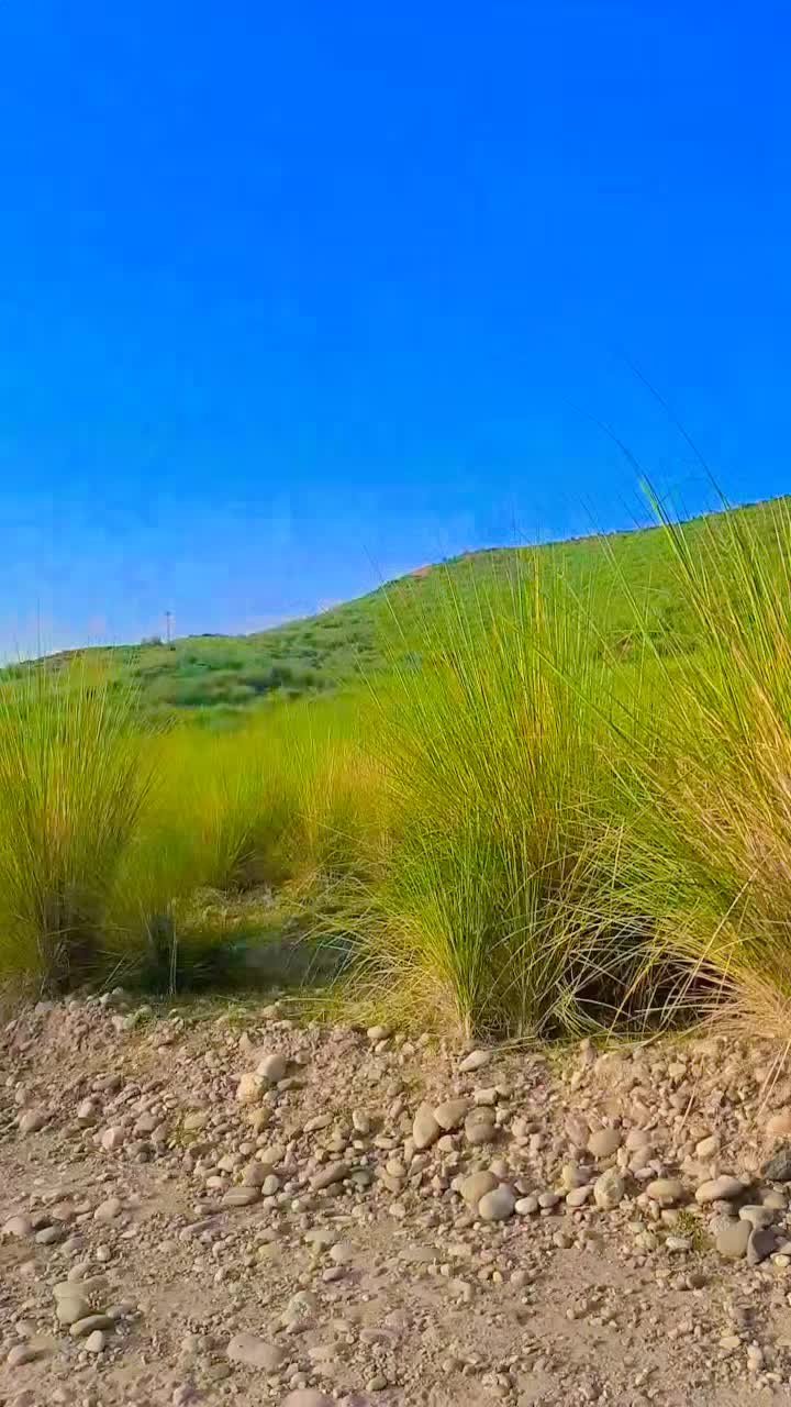 @MrEjaz543