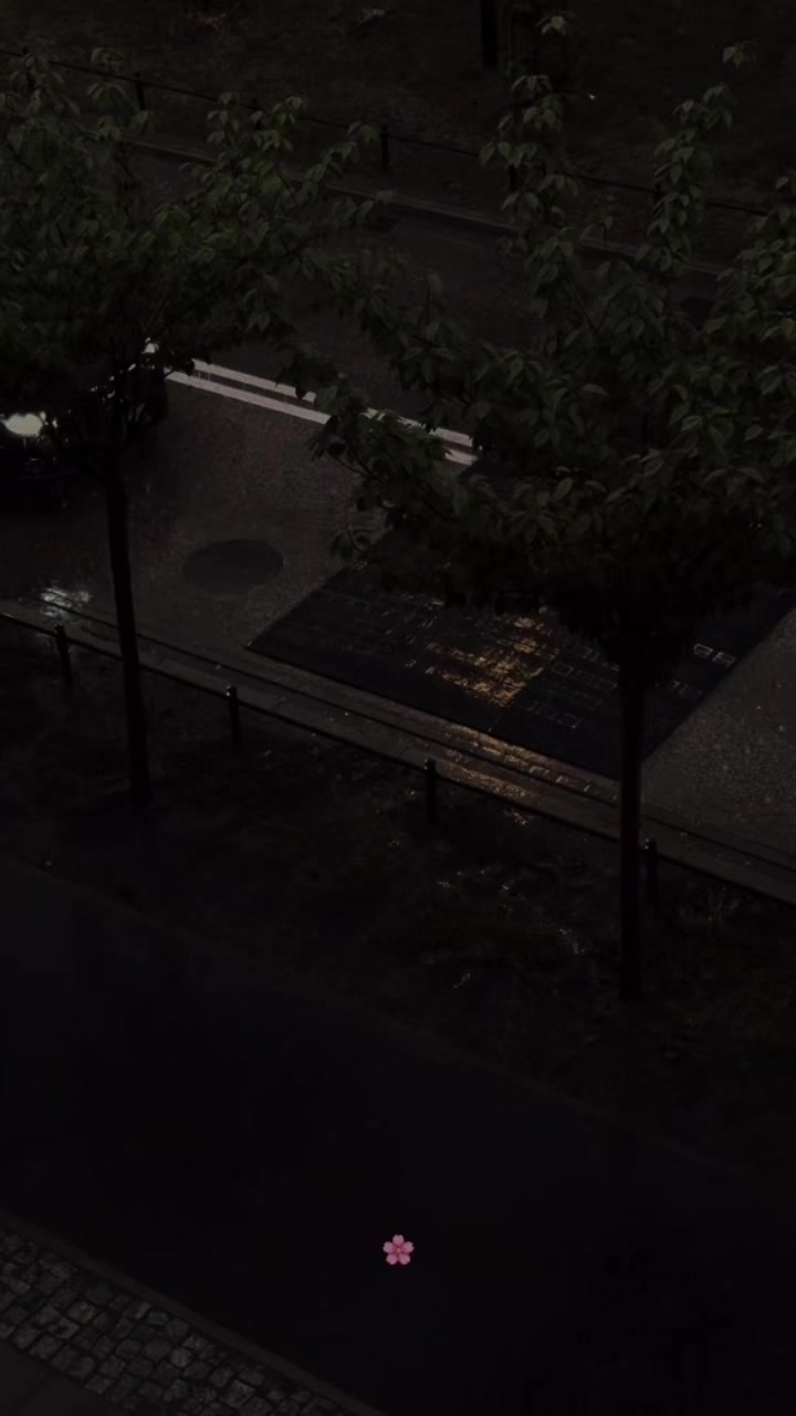 @𝓒𝓱𝓪𝓸𝓼 𝓠𝓾𝓮𝓮𝓷𝜗𝜚