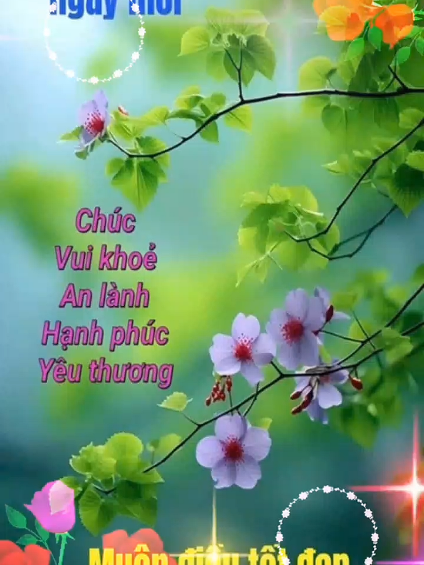 @Huỳnh Văn Được