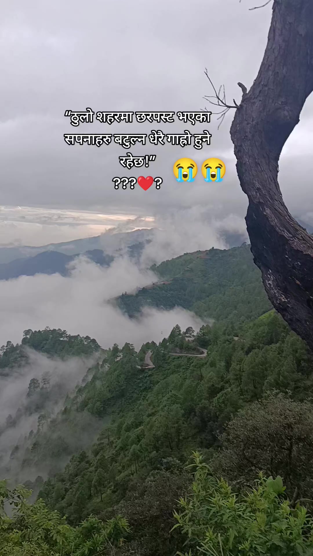@Rasmi Tmg♥️