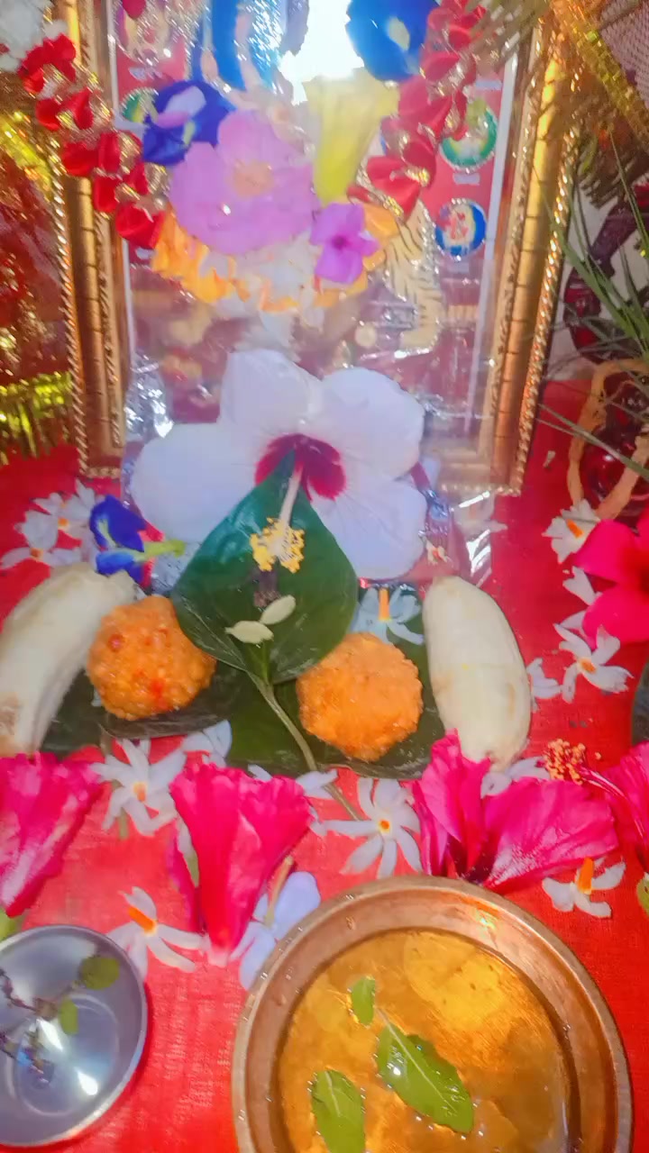@SharbanSunitaRoyYadav861🤞❣