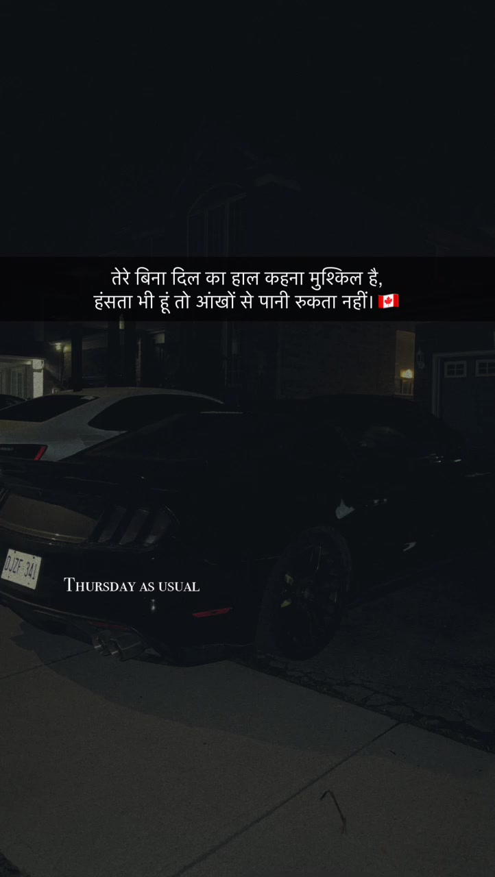 @vehlijanta761