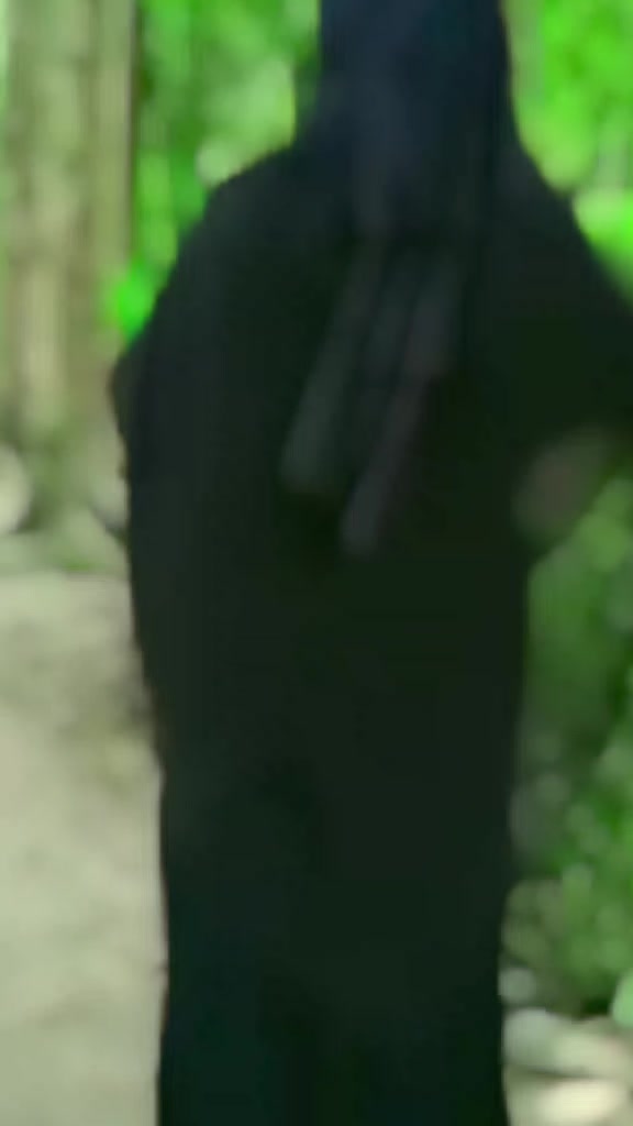 @ভালোবাসার লাল গোলাপ 🌹🌹