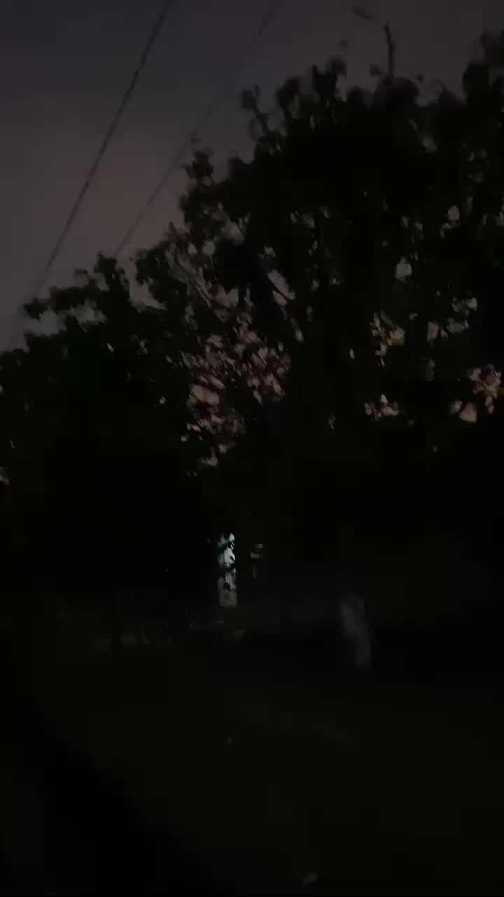 @yyudd69