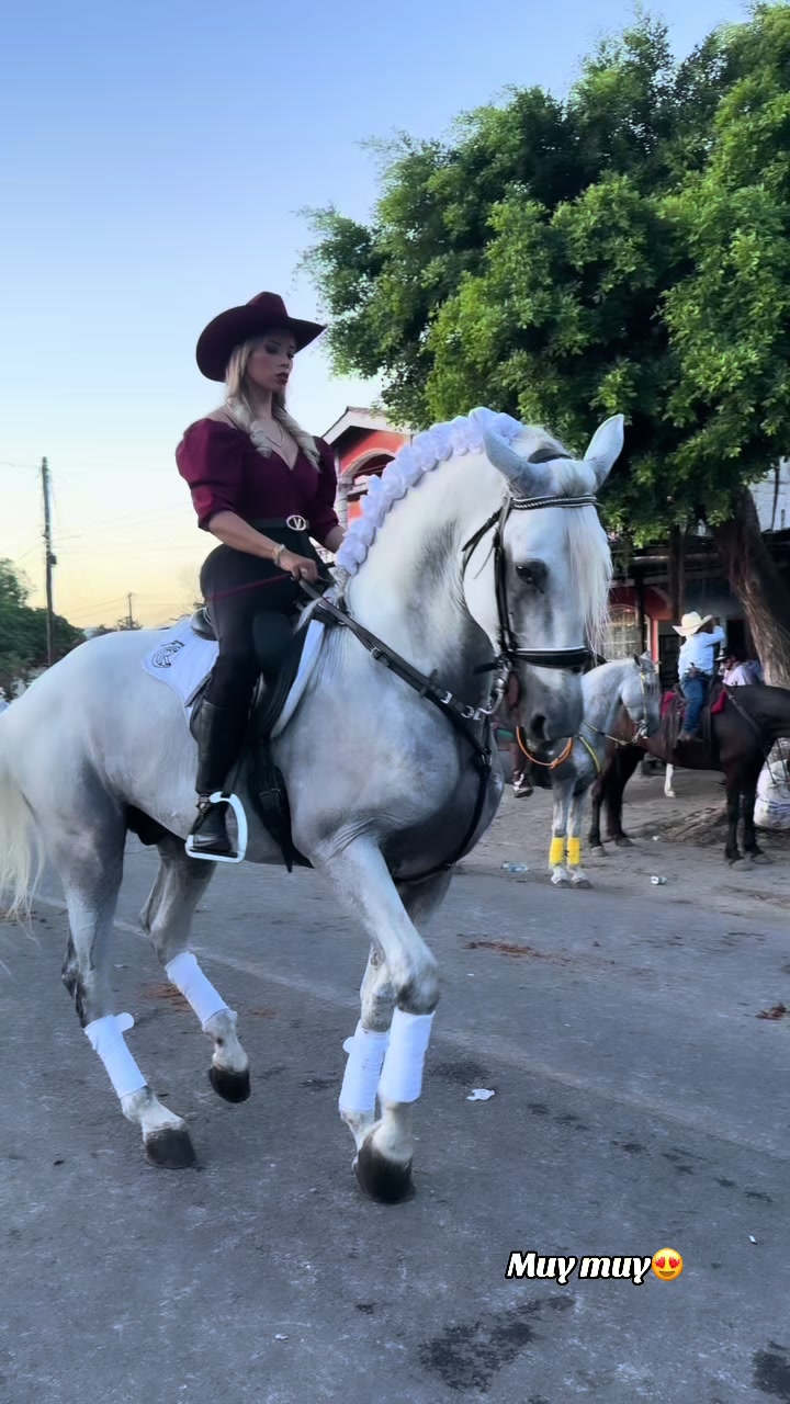 @Cindy Álvarez