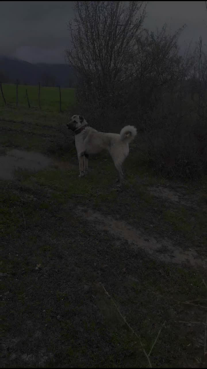 @G&Uuml;NG&Ouml;R RAMAZAN ✅️