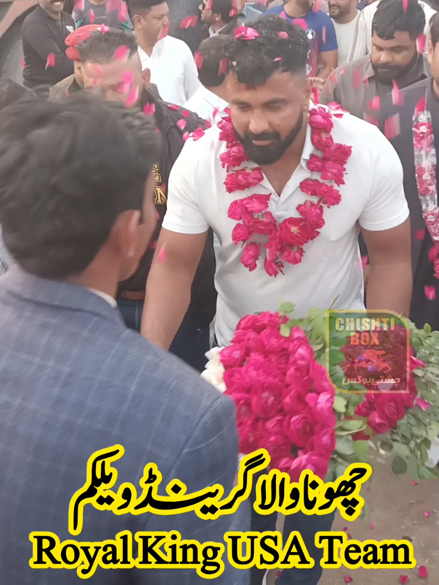 @Chishti Box