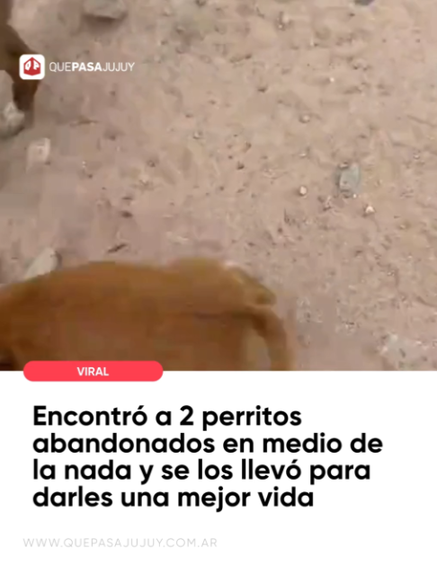 @QuePasaJujuy