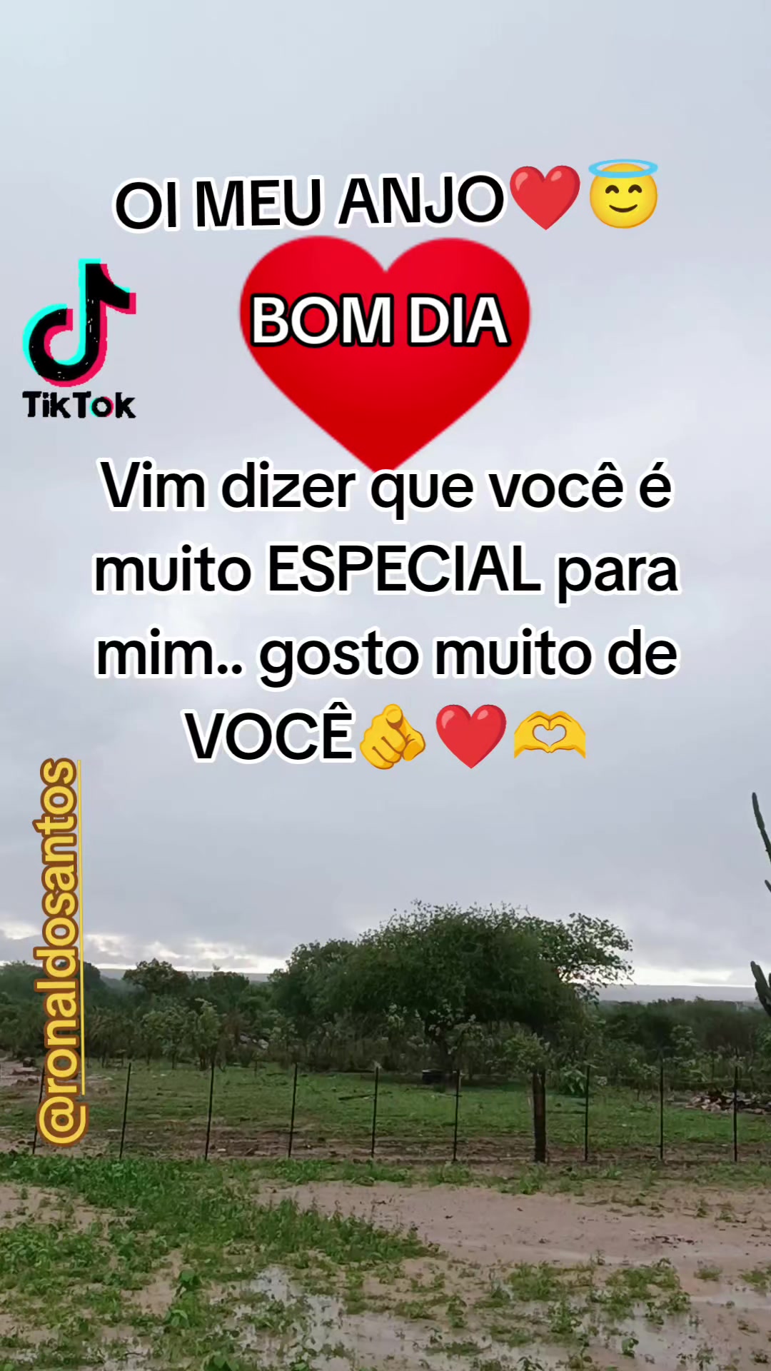 @ronaldosantos