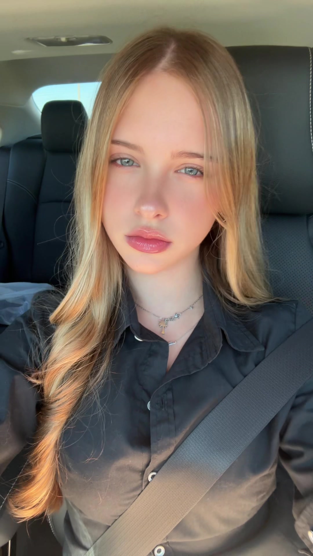 @cele 🦢
