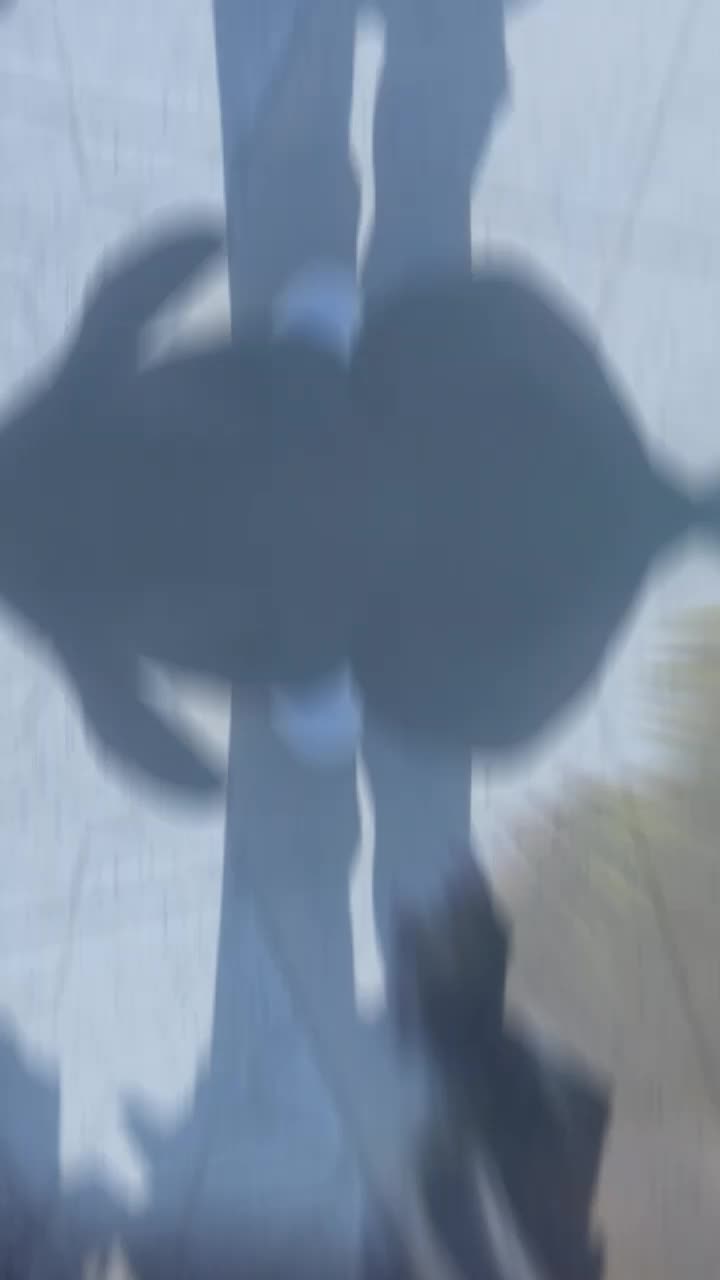 @๐ฏ๐๐
๐๐๐_๐ต๐๐๐๐๐