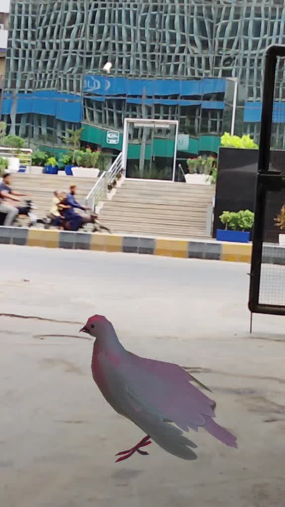 @™عاشق علی لاشاری™