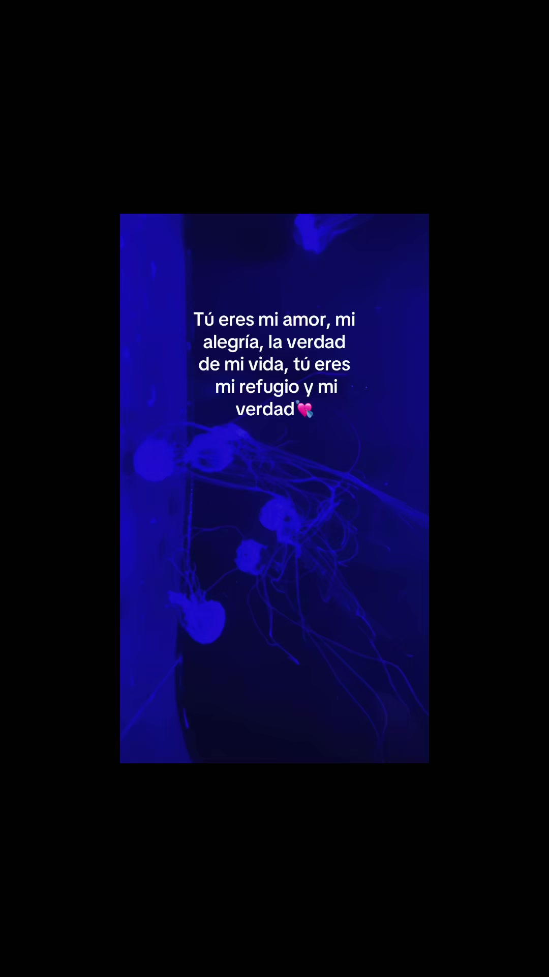 @Conversaciones WhatsApp 🥺💔