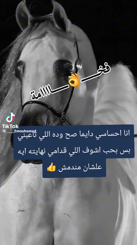 @الصمت لغه العظماء