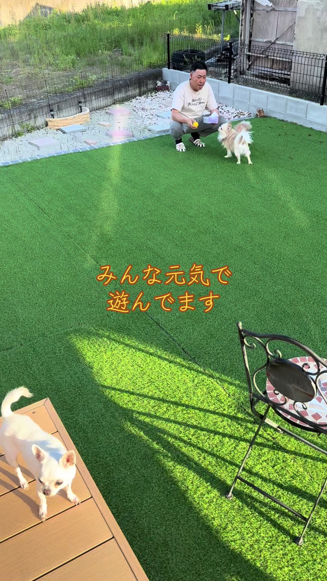 @ãããð©µ