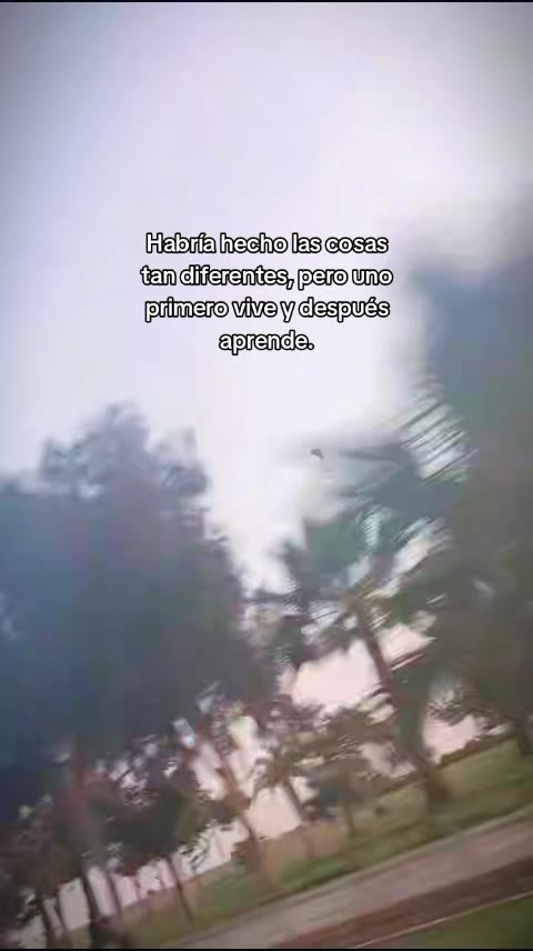 @Almendra 🫶✨