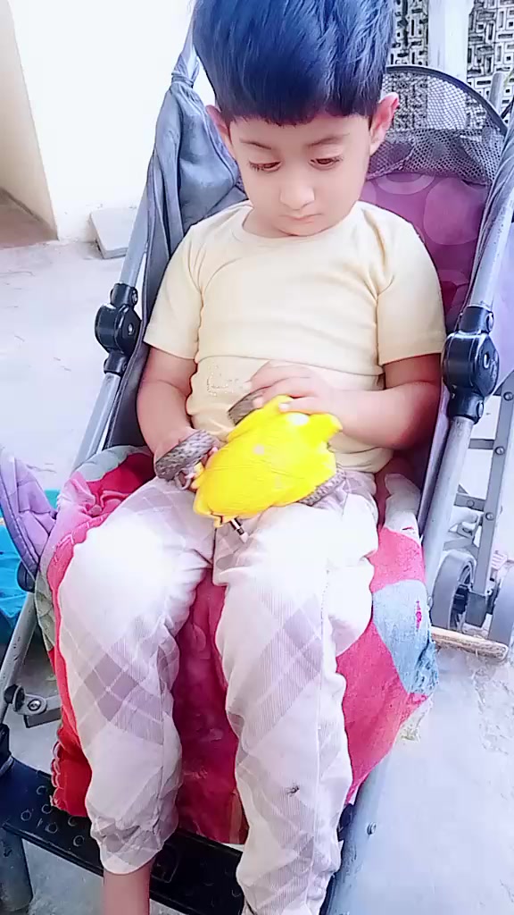 @mughlan di kuri