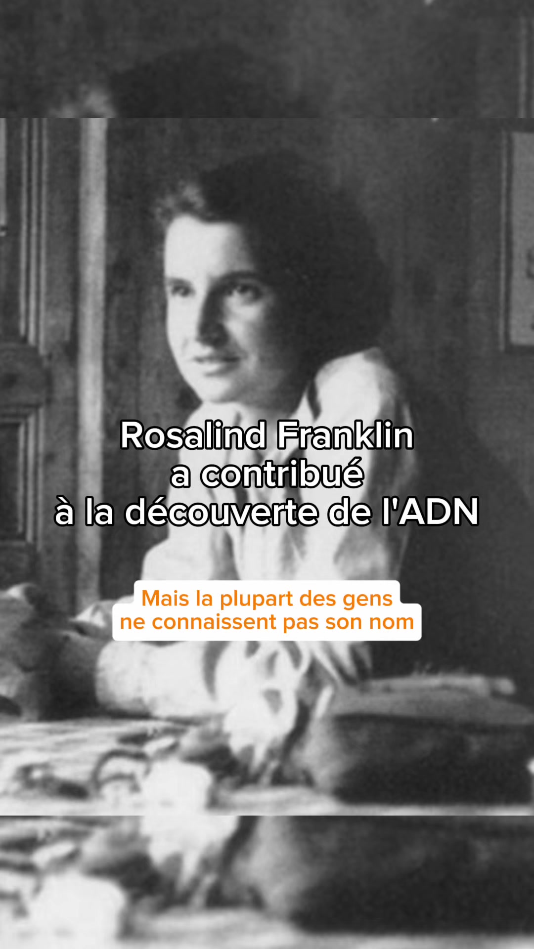 @MyHeritage France