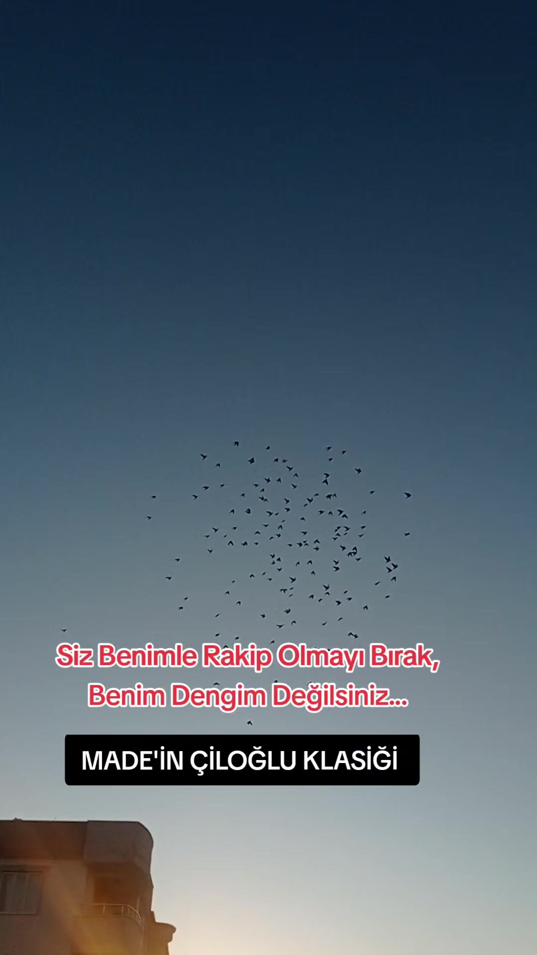 @&Ccedil;İLOĞLU KLASİĞİ