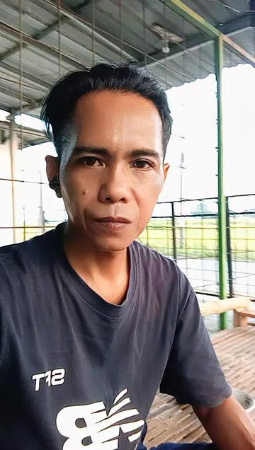 @3ditor_capcut