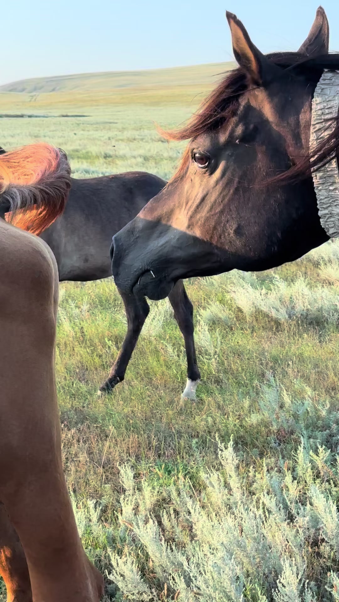 @MakvinStud